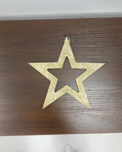 [128] Gold star 